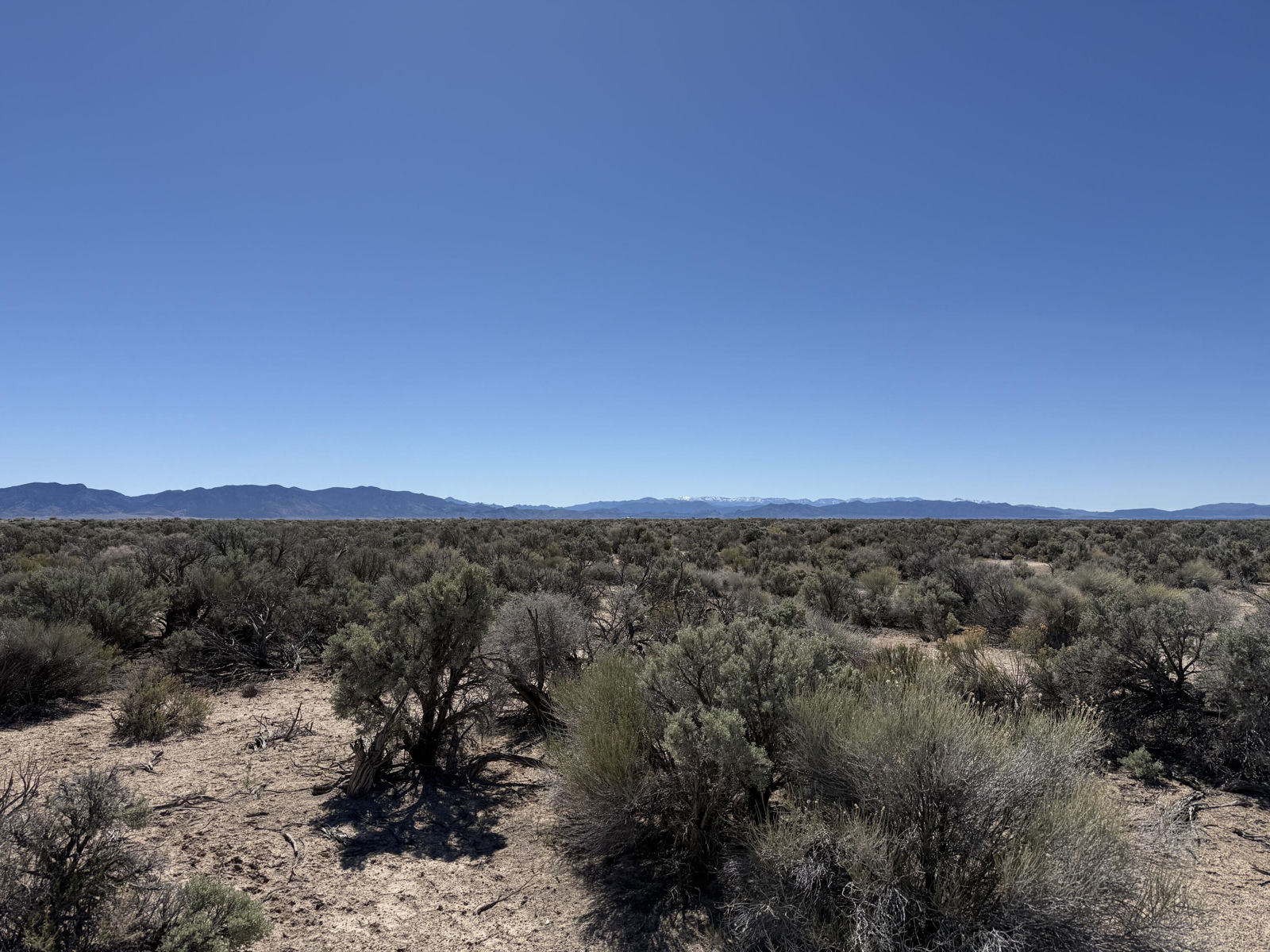 80 Acres (E-1271-0004-0036), Beryl, photo 12 of 15