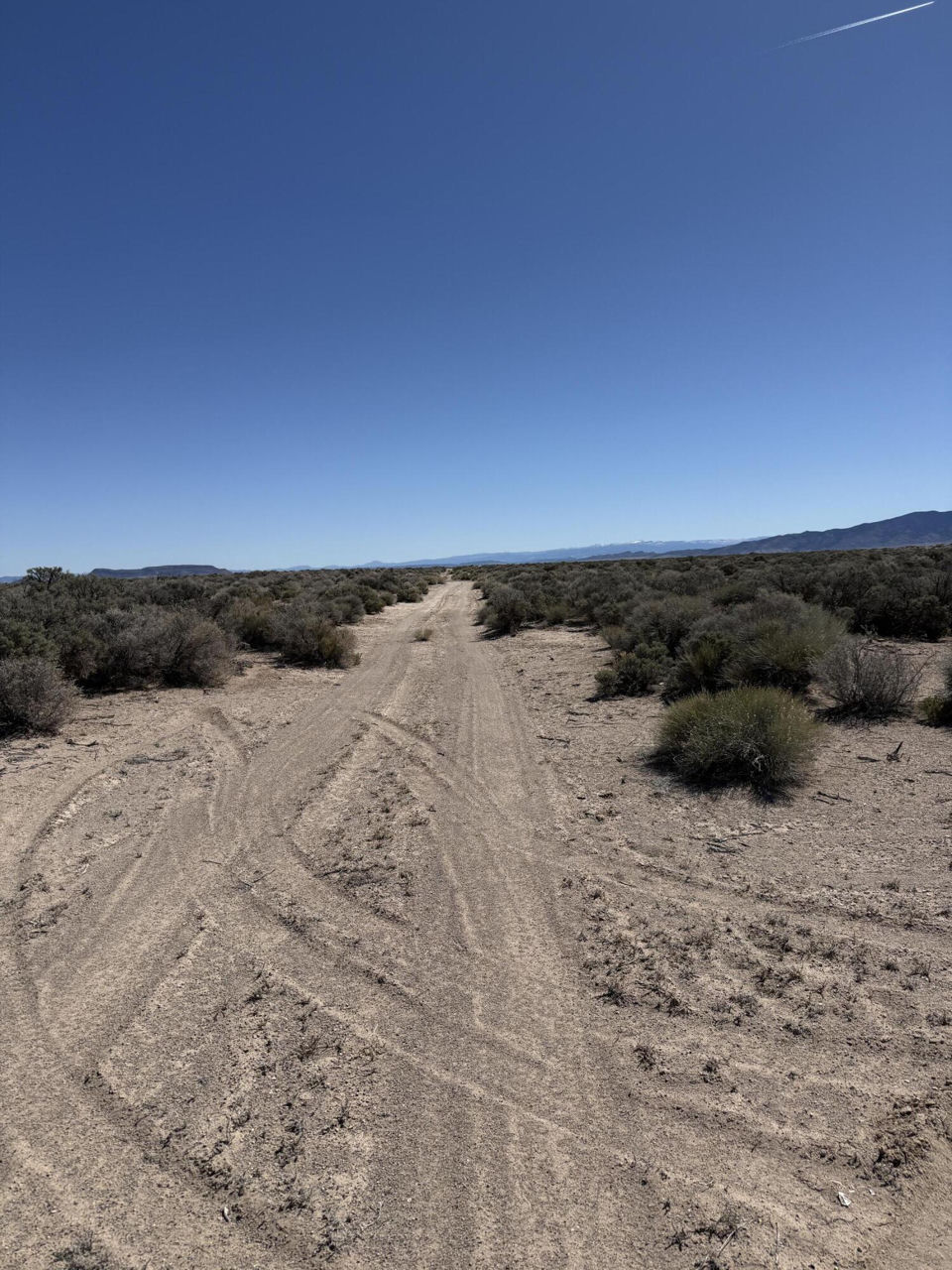 80 Acres (E-1271-0004-0036), Beryl, photo 2