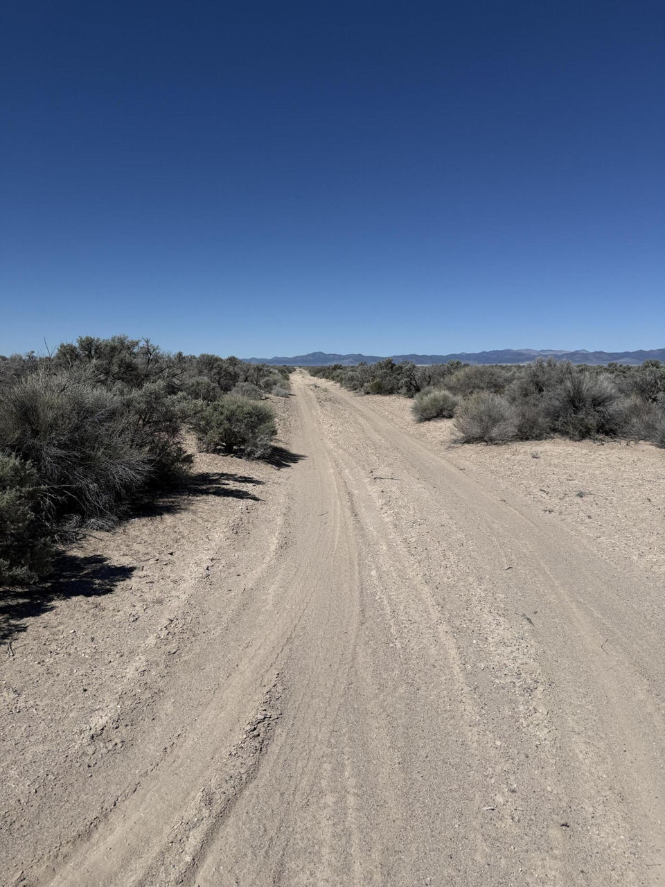 80 Acres (E-1271-0004-0036), Beryl, photo 3