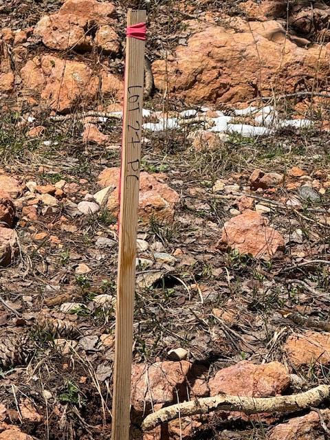 590 W Kokopelli, Brian Head, photo 5 of 13