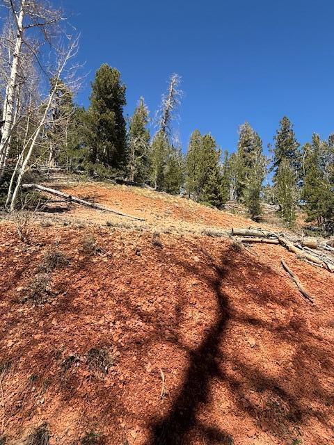 590 W Kokopelli, Brian Head, photo 7 of 13