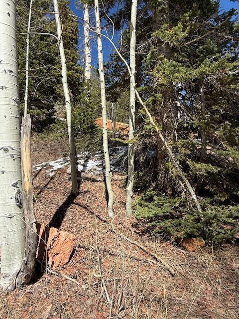 590 W Kokopelli, Brian Head, photo 9 of 13