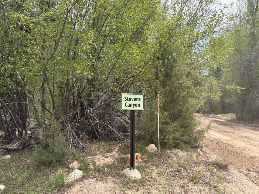 20 Acres Stevens Canyon, Duck Creek Village, photo 36 of 50