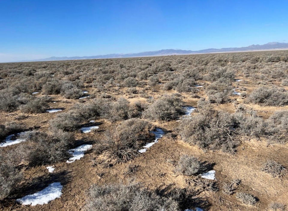 80 Acres (E-0924-0000-0000), Beryl