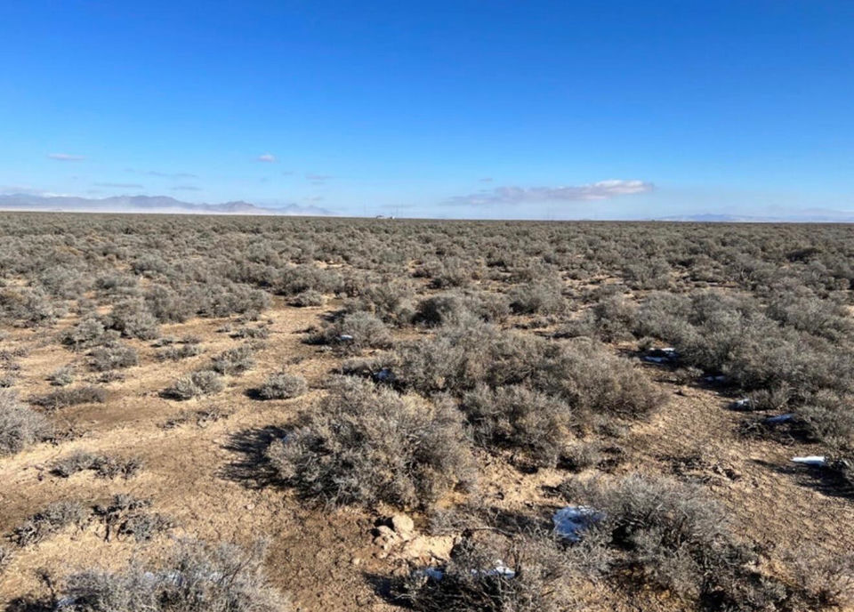 80 Acres (E-0924-0000-0000), Beryl, photo 2