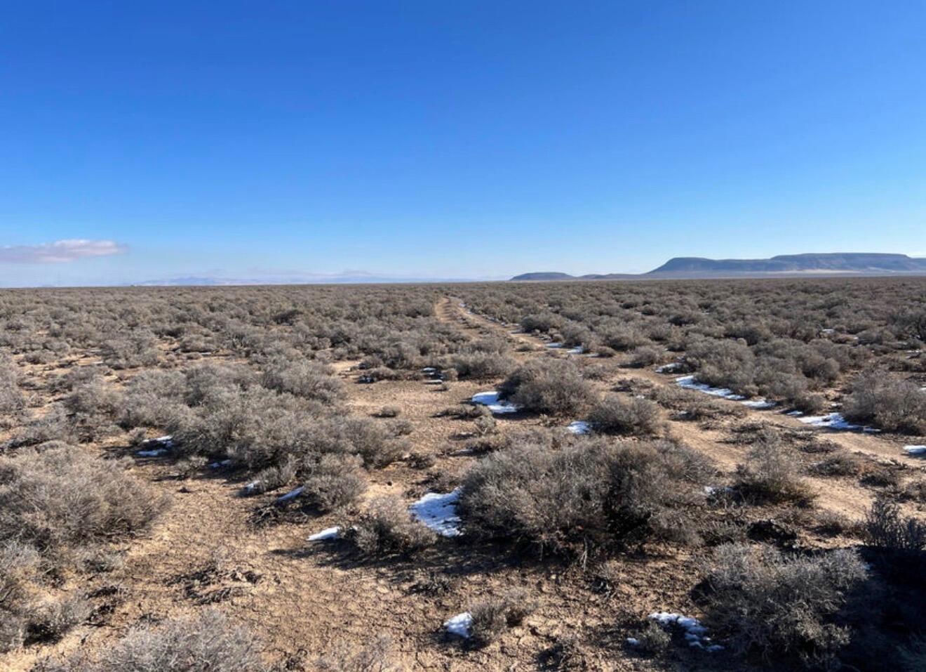 80 Acres (E-0924-0000-0000), Beryl, photo 4 of 8