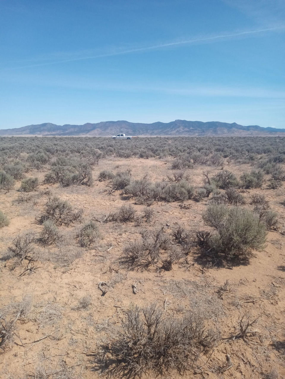 4.54 ACRE RESIDENTIAL LOT, Beryl, photo 3