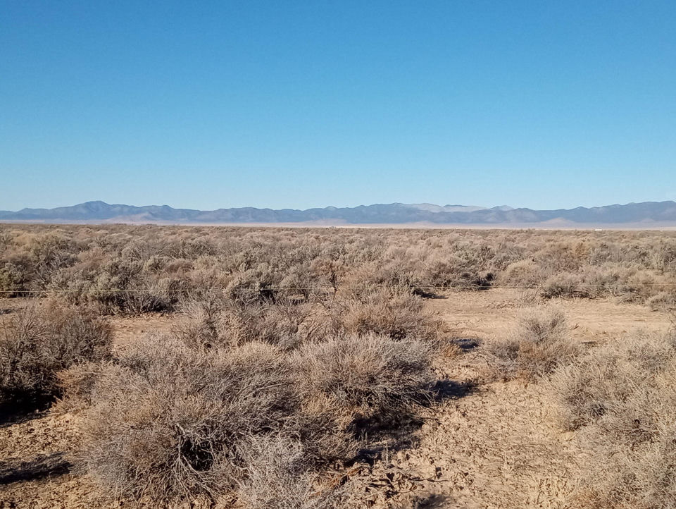4.54 ACRE RESIDENTIAL LOT, Beryl, photo 2