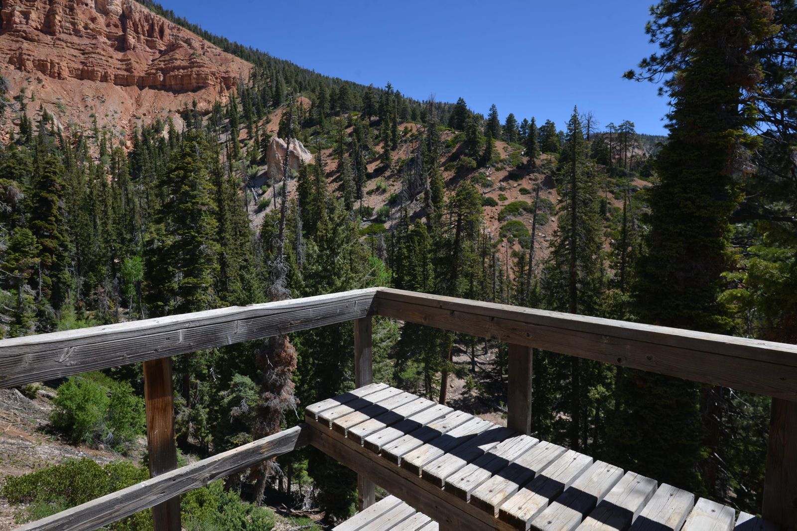 2008 W Brown Bear Road, Duck Creek Village, photo 10 of 18