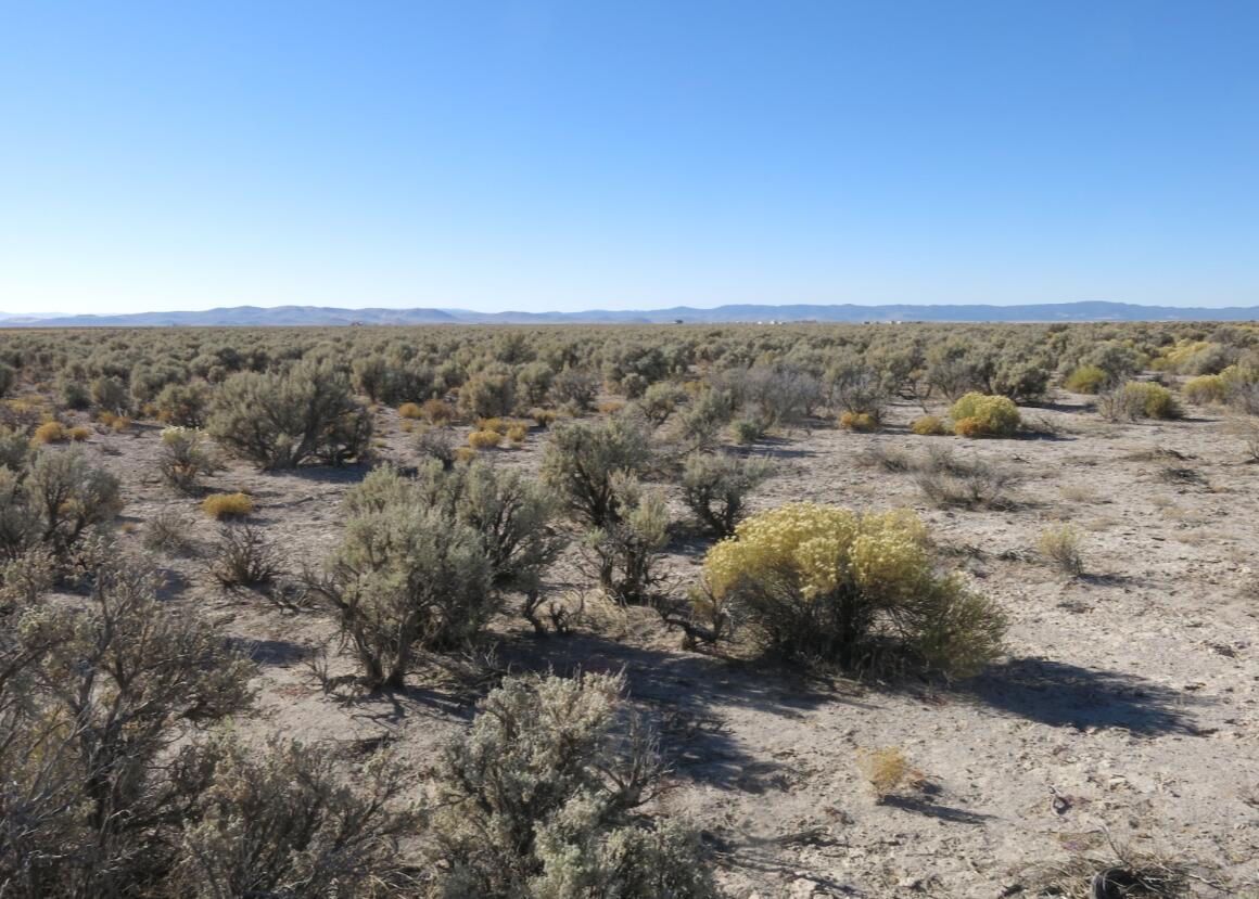 80 ACRES Cougar RD, Beryl, photo 7 of 14