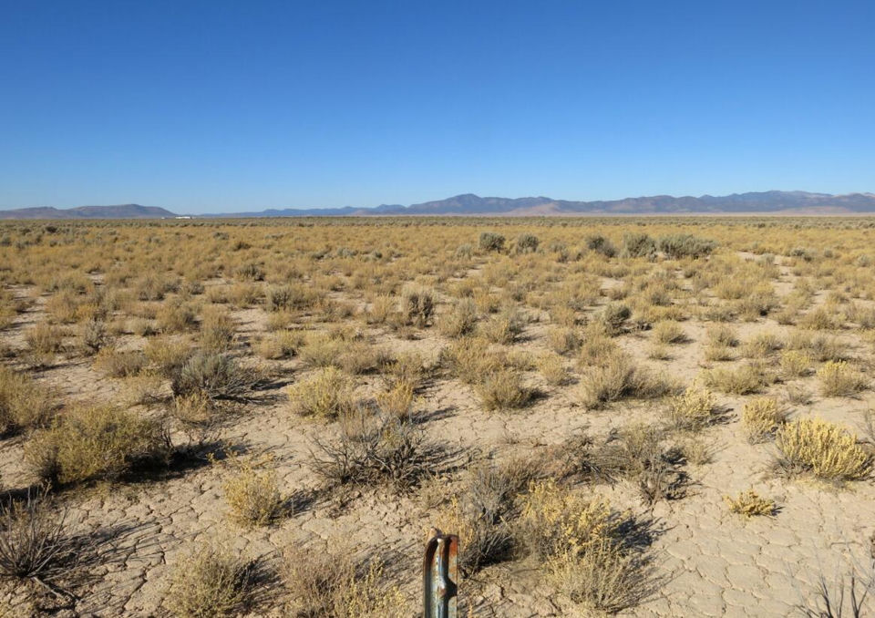 80 ACRES Cougar RD, Beryl