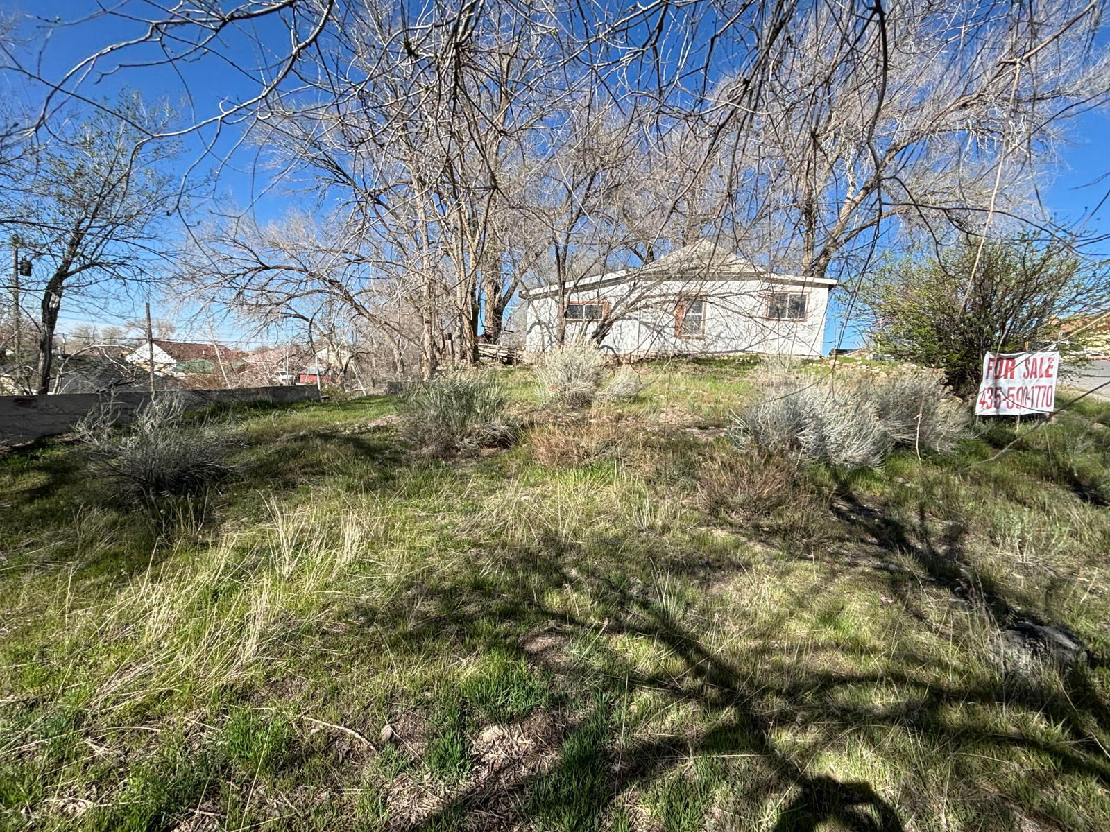 253 W 500 S, Milford, photo 8 of 11
