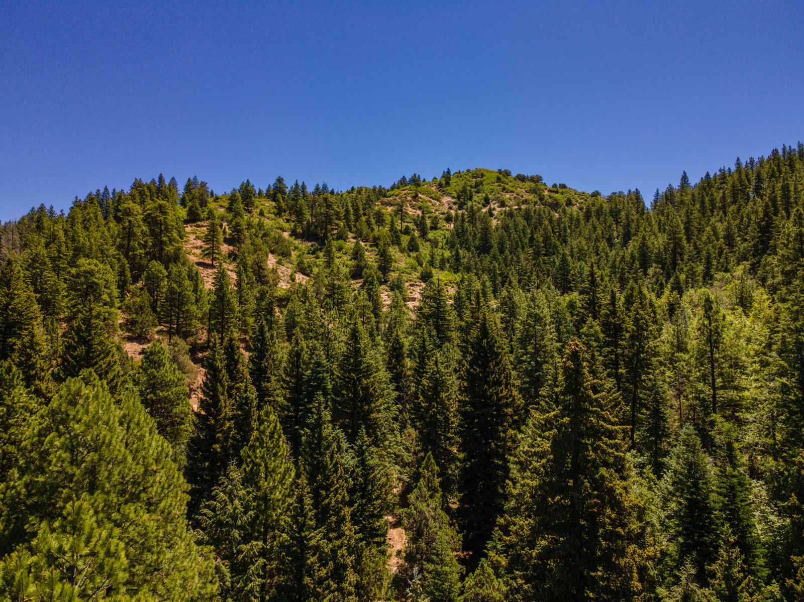 62 N Fork County RD, Duck Creek Village, photo 42 of 72