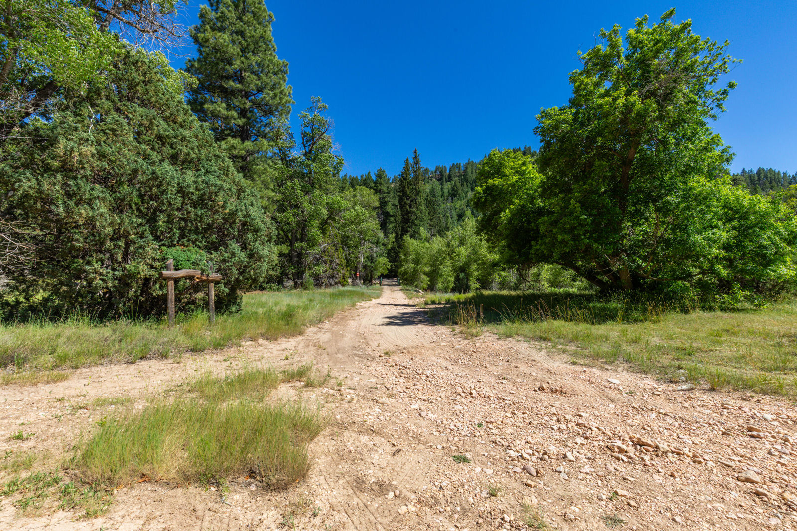 62 N Fork County RD, Duck Creek Village, photo 56 of 72