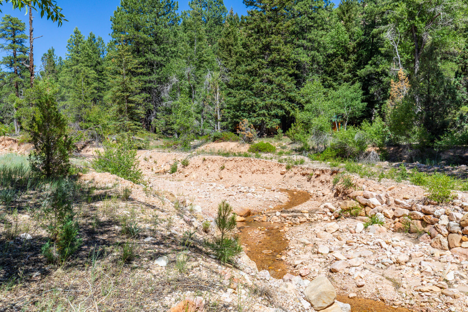 62 N Fork County RD, Duck Creek Village, photo 57 of 72