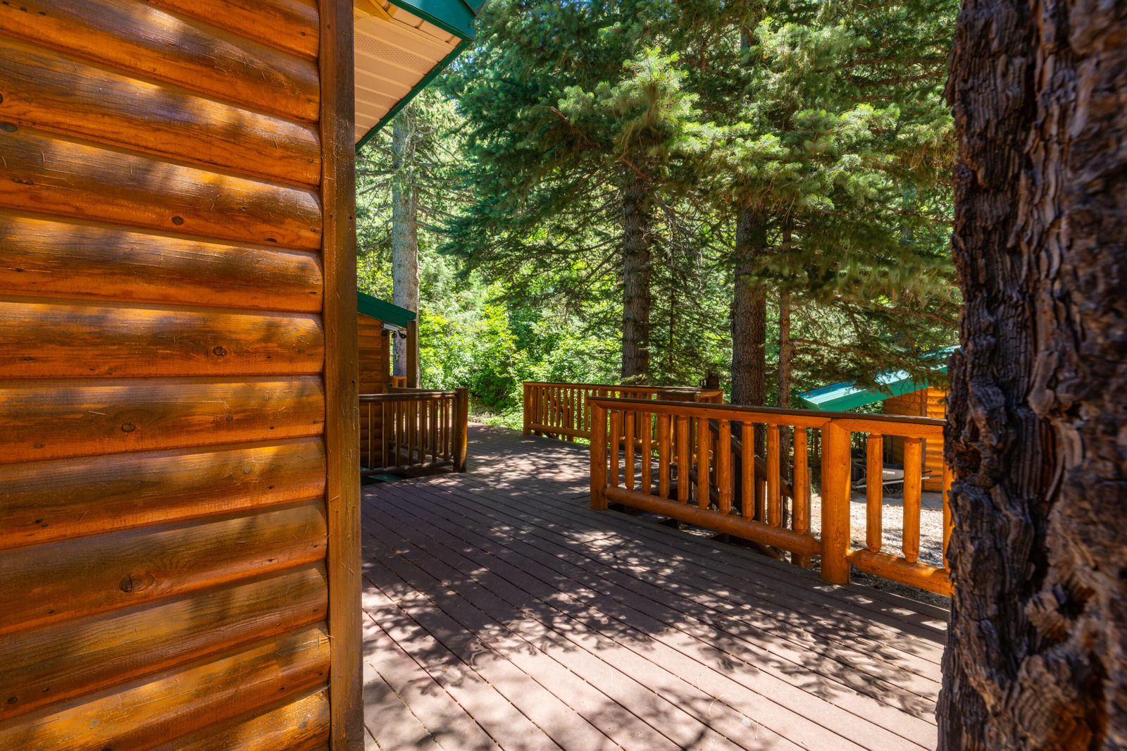62 N Fork County RD, Duck Creek Village, photo 16 of 72