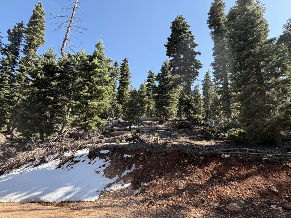 1015 W Big Horn CIR, Duck Creek Village