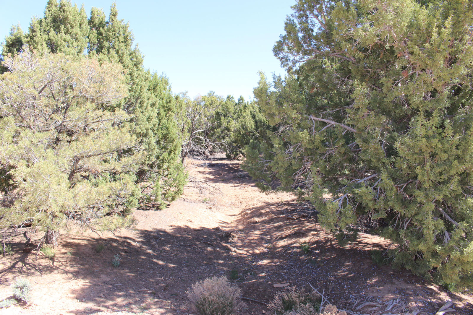 17768 W Harmony LN, Cedar City, photo 3 of 10