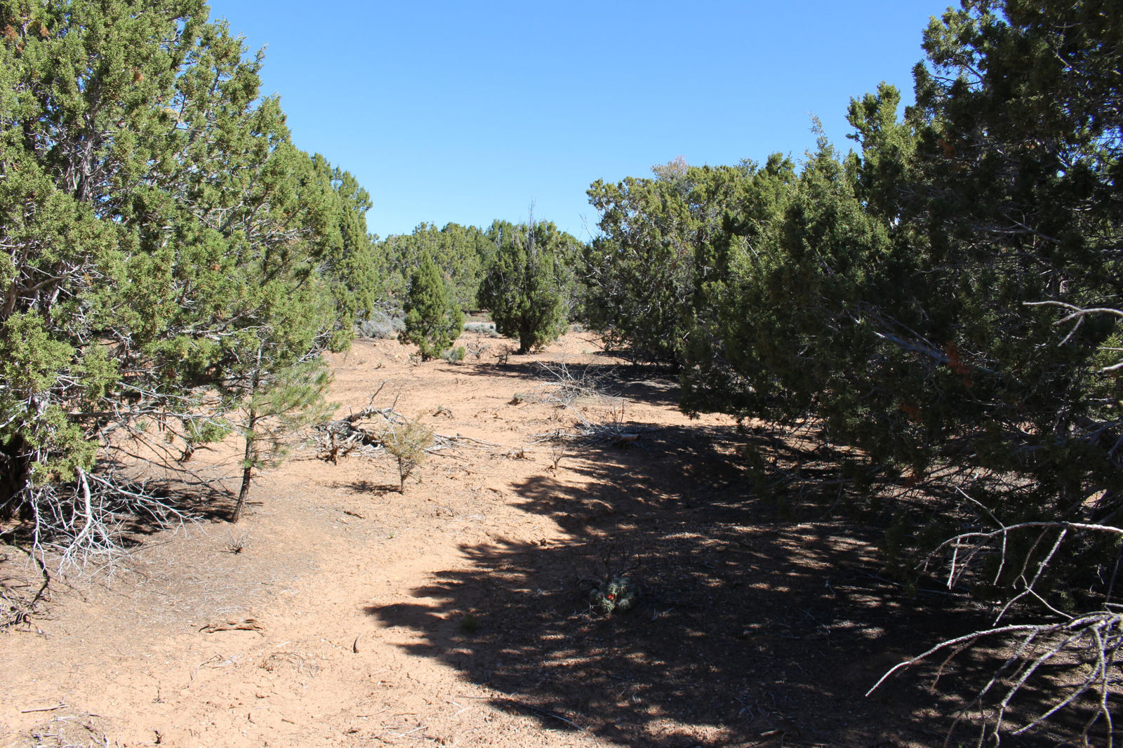 17768 W Harmony LN, Cedar City, photo 4 of 10