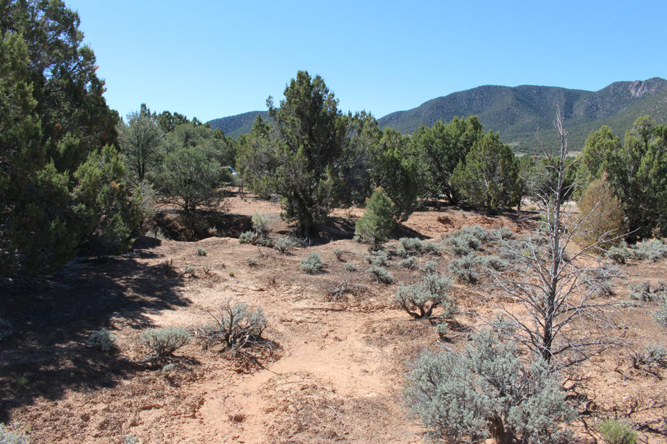 17768 W Harmony LN, Cedar City, photo 2