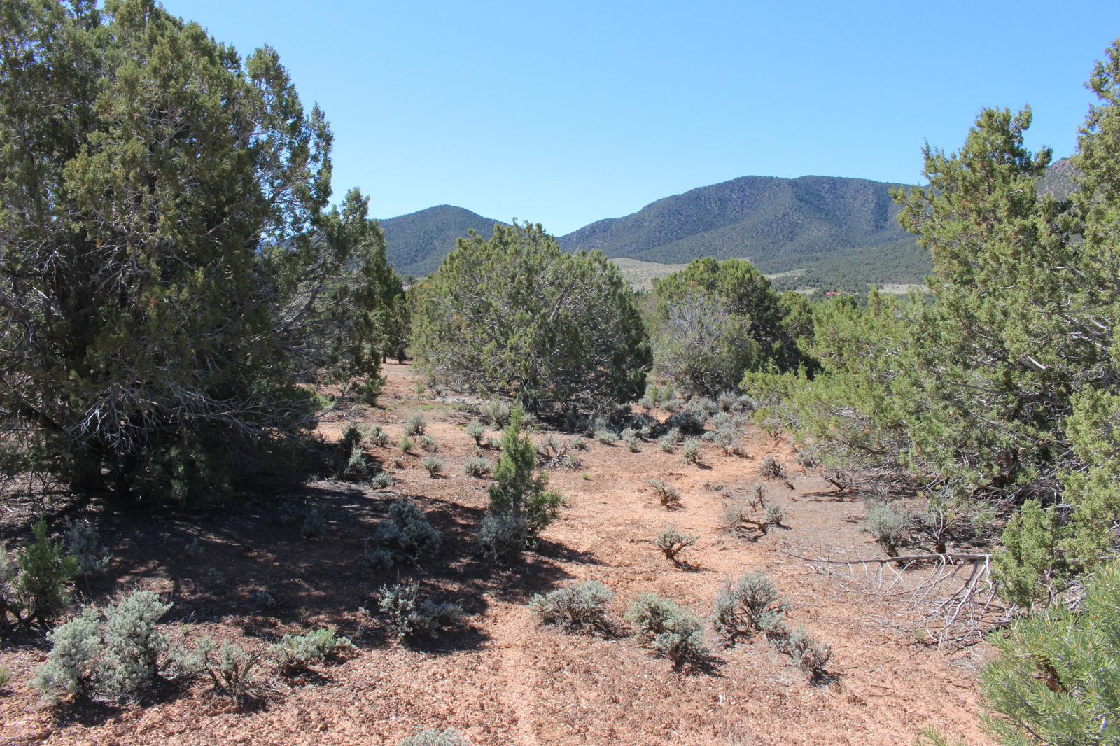 17768 W Harmony LN, Cedar City, photo 8 of 10