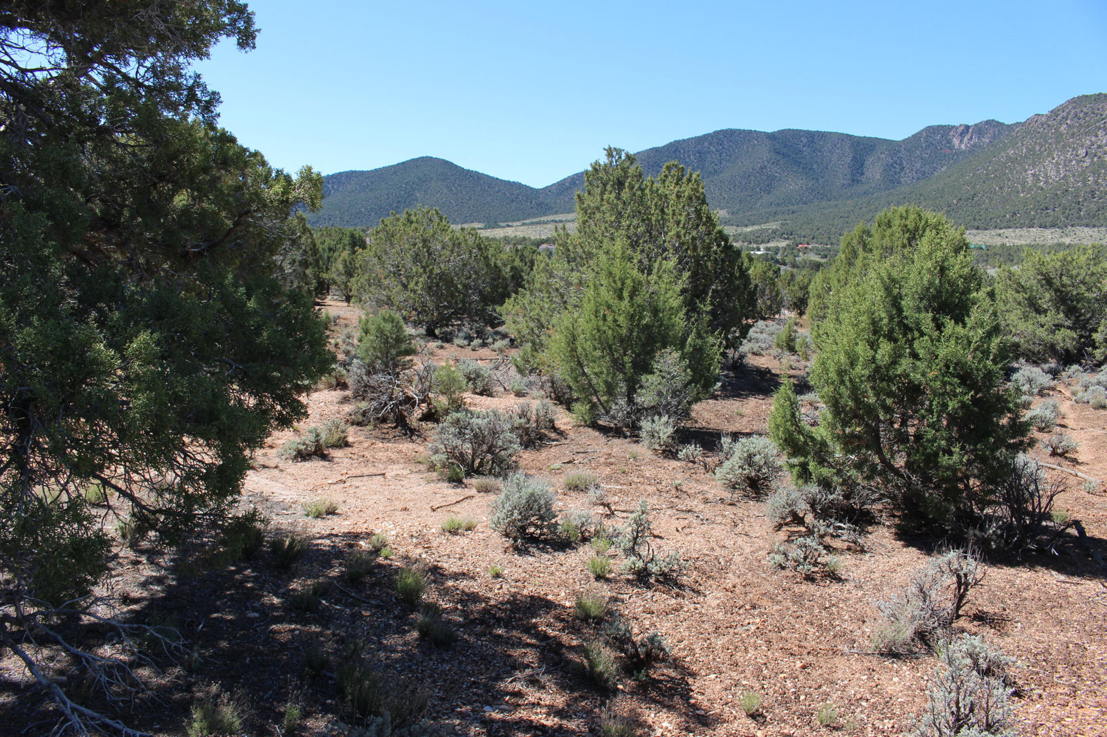 17768 W Harmony LN, Cedar City, photo 9 of 10