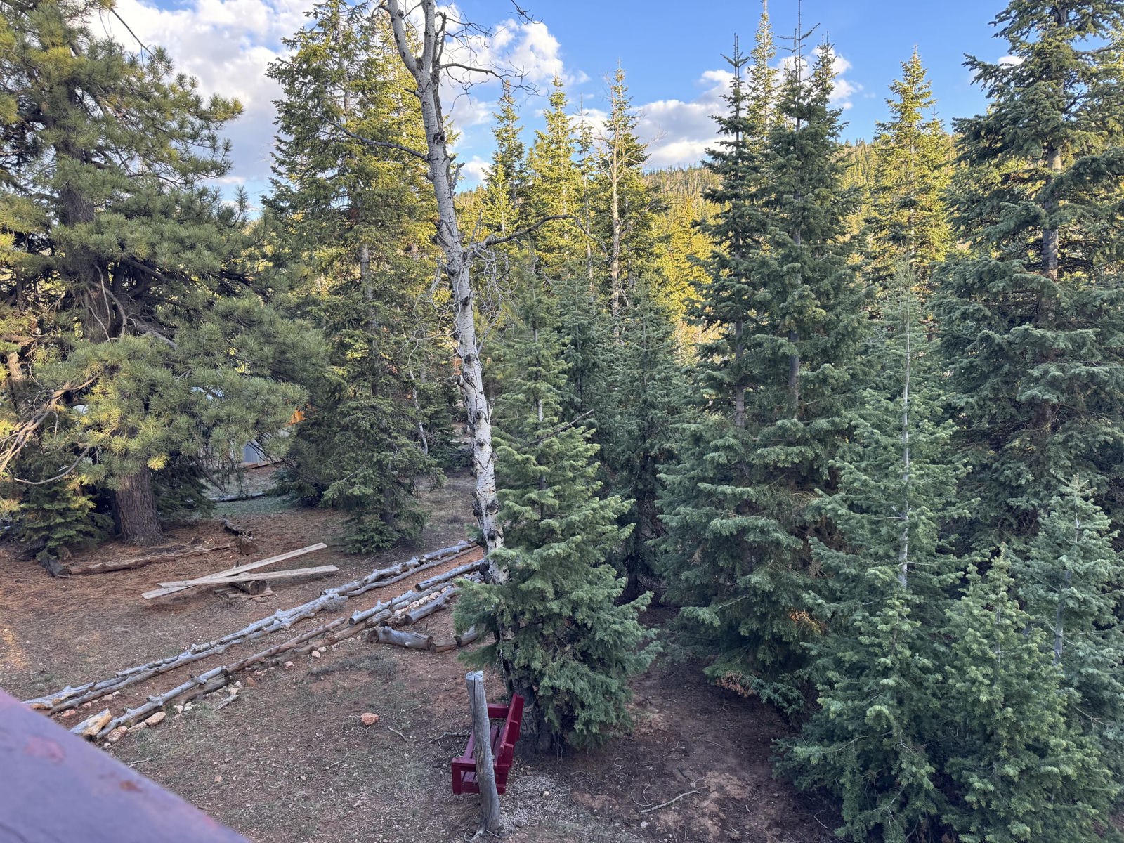 1145 Doe Trail, Duck Creek Village, photo 18 of 18