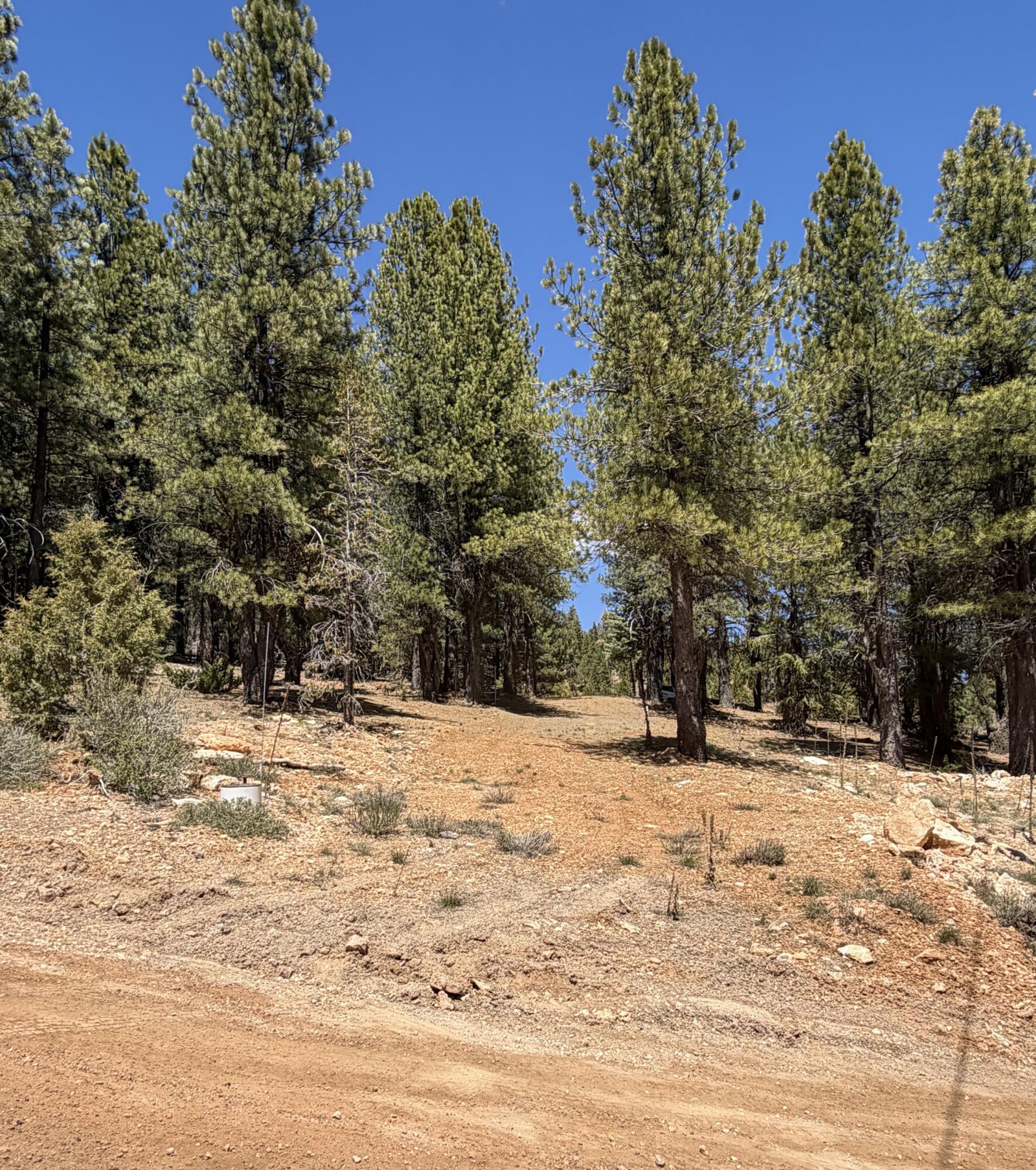 2375 Douglas Trail, Duck Creek Village, photo 2 of 18