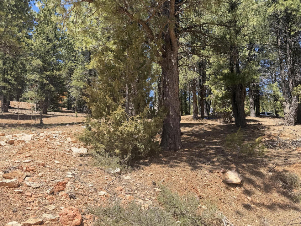 2375 Douglas Trail, Duck Creek Village