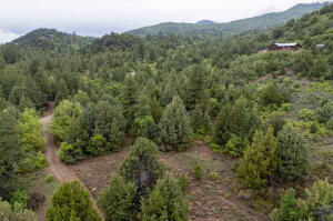 2657 E Oak Tree Trail, Lot 22, Springdale, photo 7 of 15