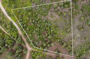 2657 E Oak Tree Trail, Lot 22, Springdale, photo 3