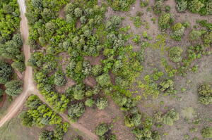 2657 E Oak Tree Trail, Lot 22, Springdale, photo 4 of 15