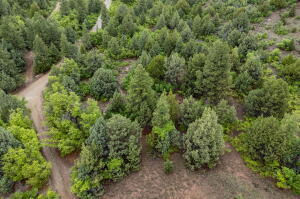 2657 E Oak Tree Trail, Lot 22, Springdale, photo 5 of 15