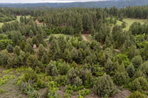 2657 E Oak Tree Trail, Lot 22, Springdale, photo 8 of 15