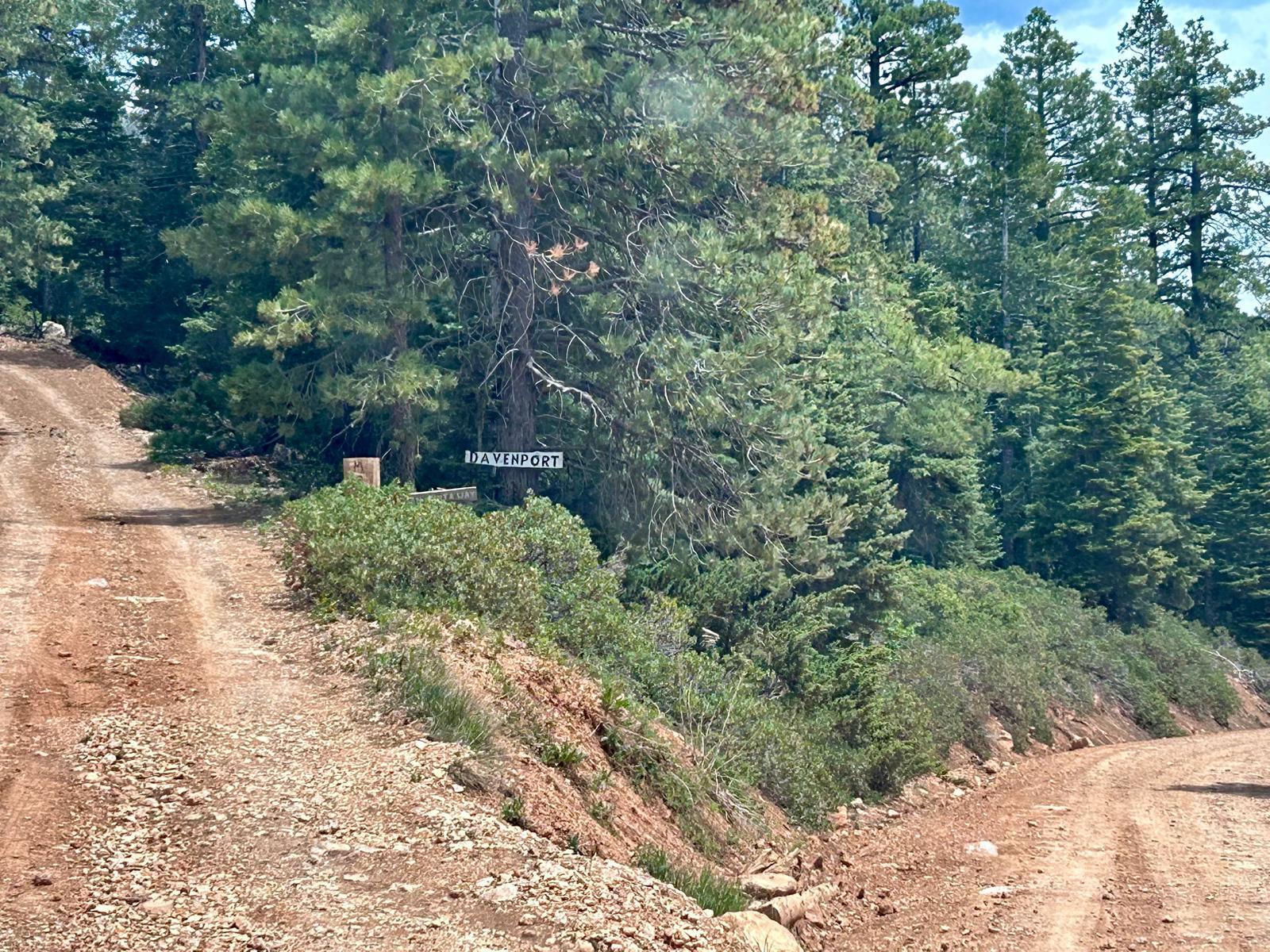 2008 W Brown Bear Road, Duck Creek Village, photo 15 of 18
