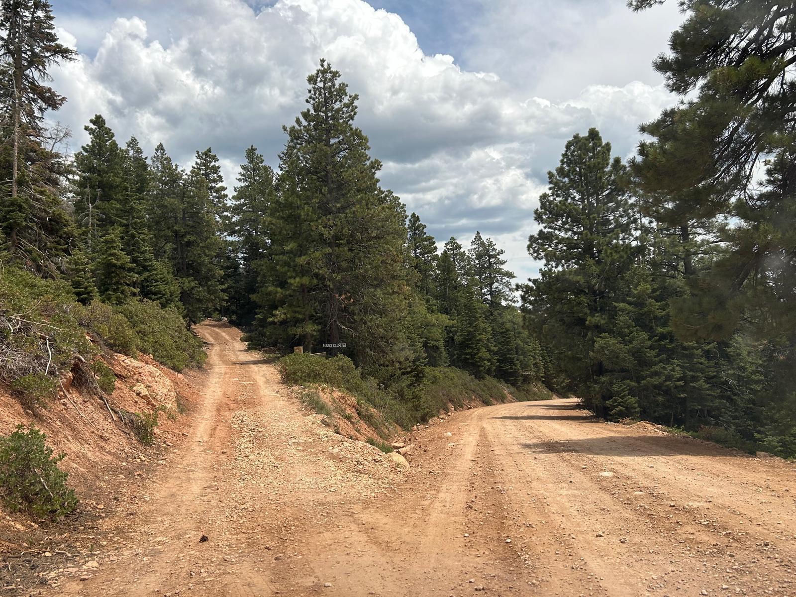 2008 W Brown Bear Road, Duck Creek Village, photo 13 of 18
