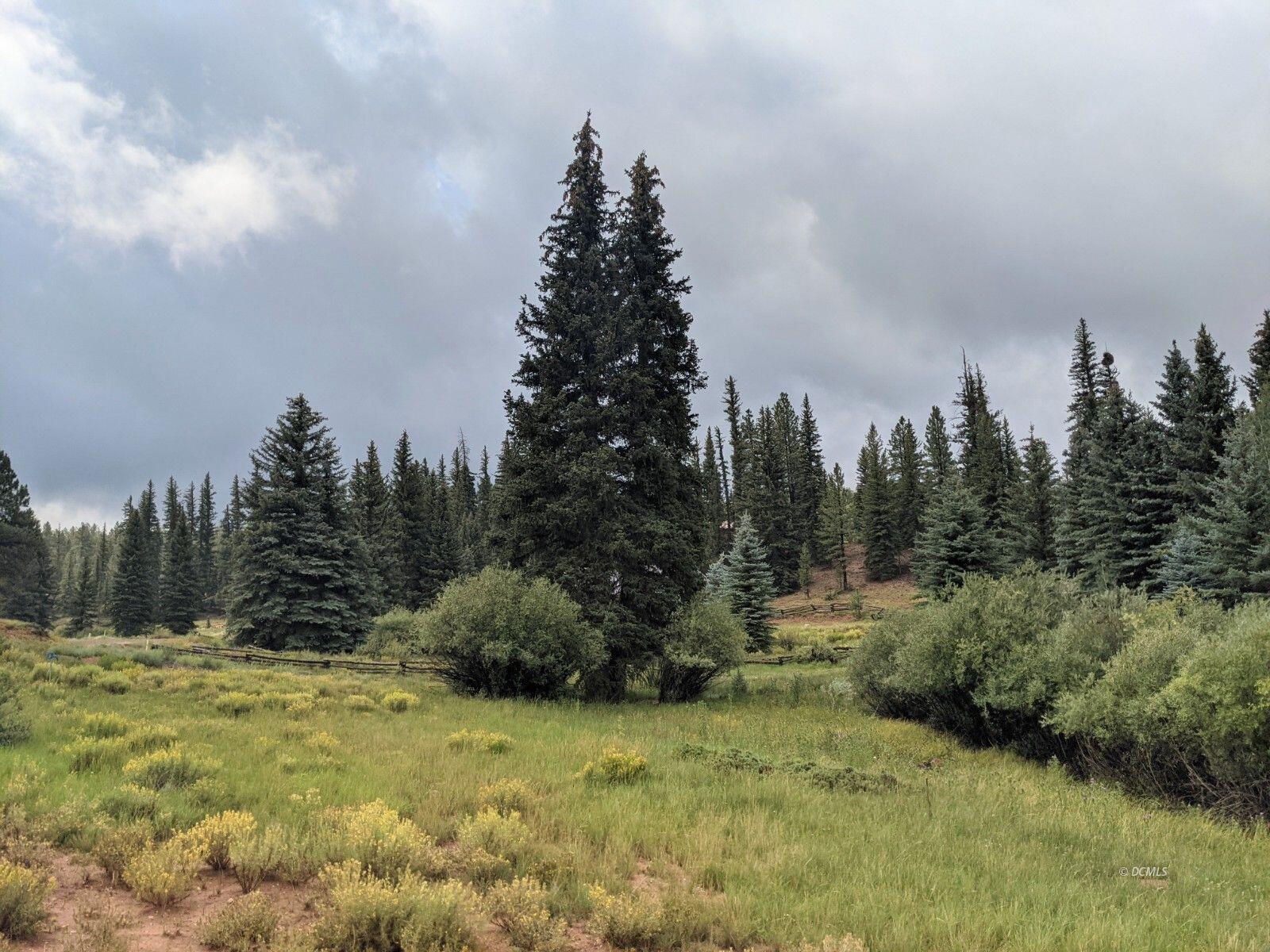 175 N Apollo Trail, Duck Creek Village, photo 1