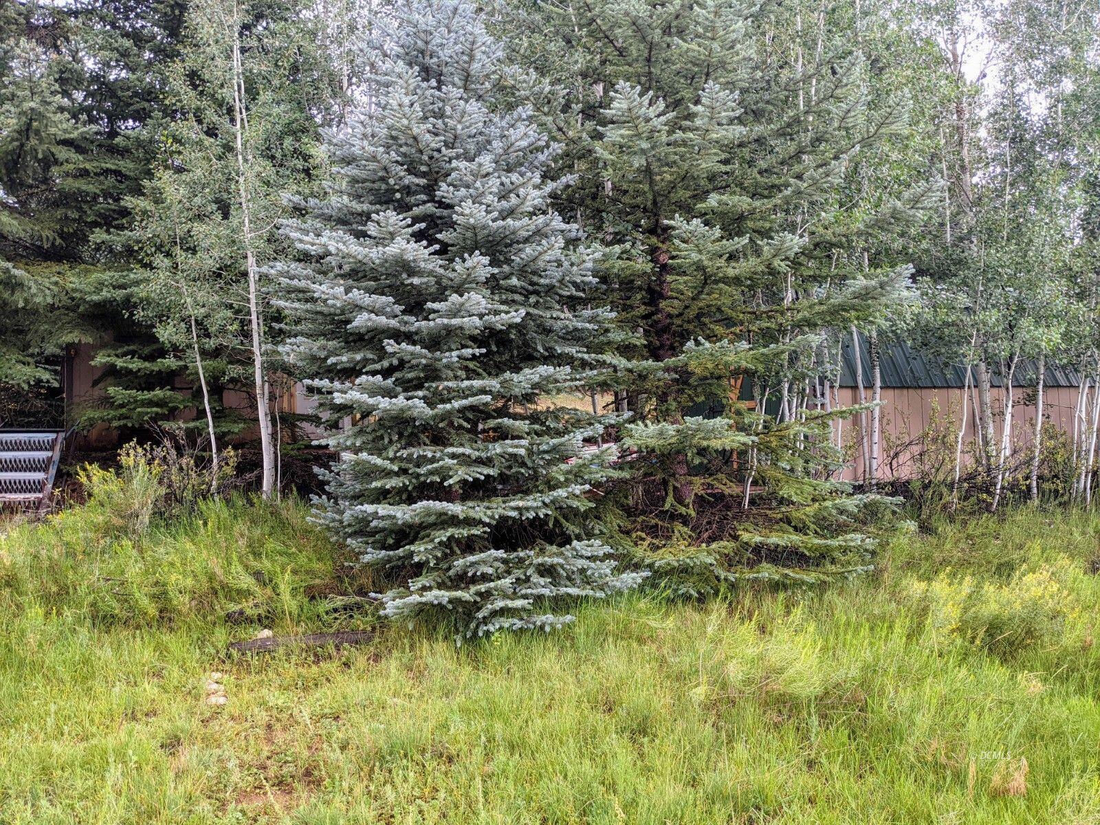 175 N Apollo Trail, Duck Creek Village, photo 2 of 9