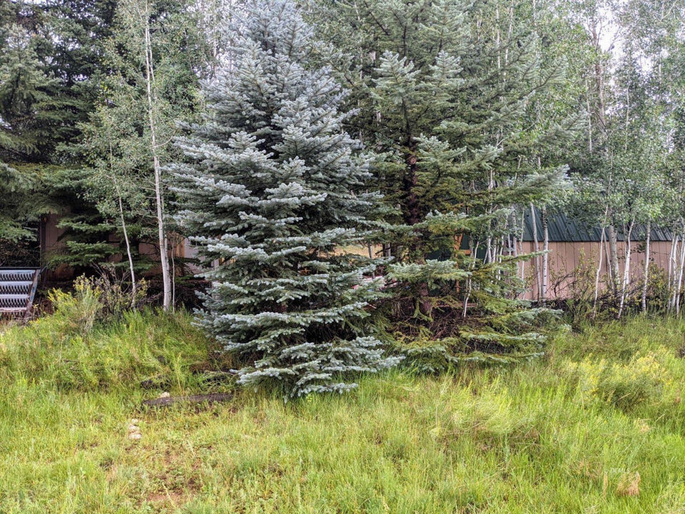 175 N Apollo Trail, Duck Creek Village, photo 2