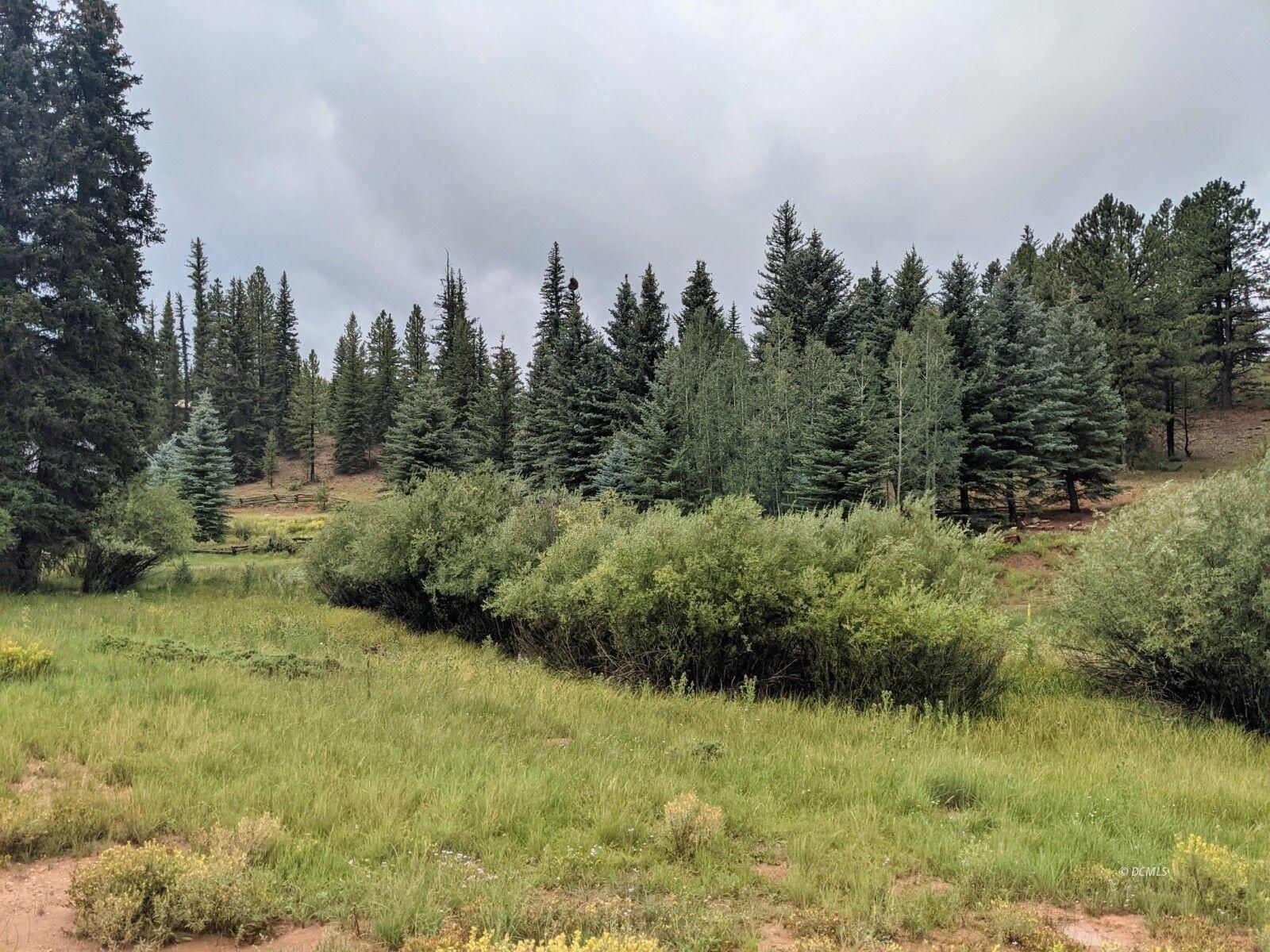 175 N Apollo Trail, Duck Creek Village, photo 4 of 9