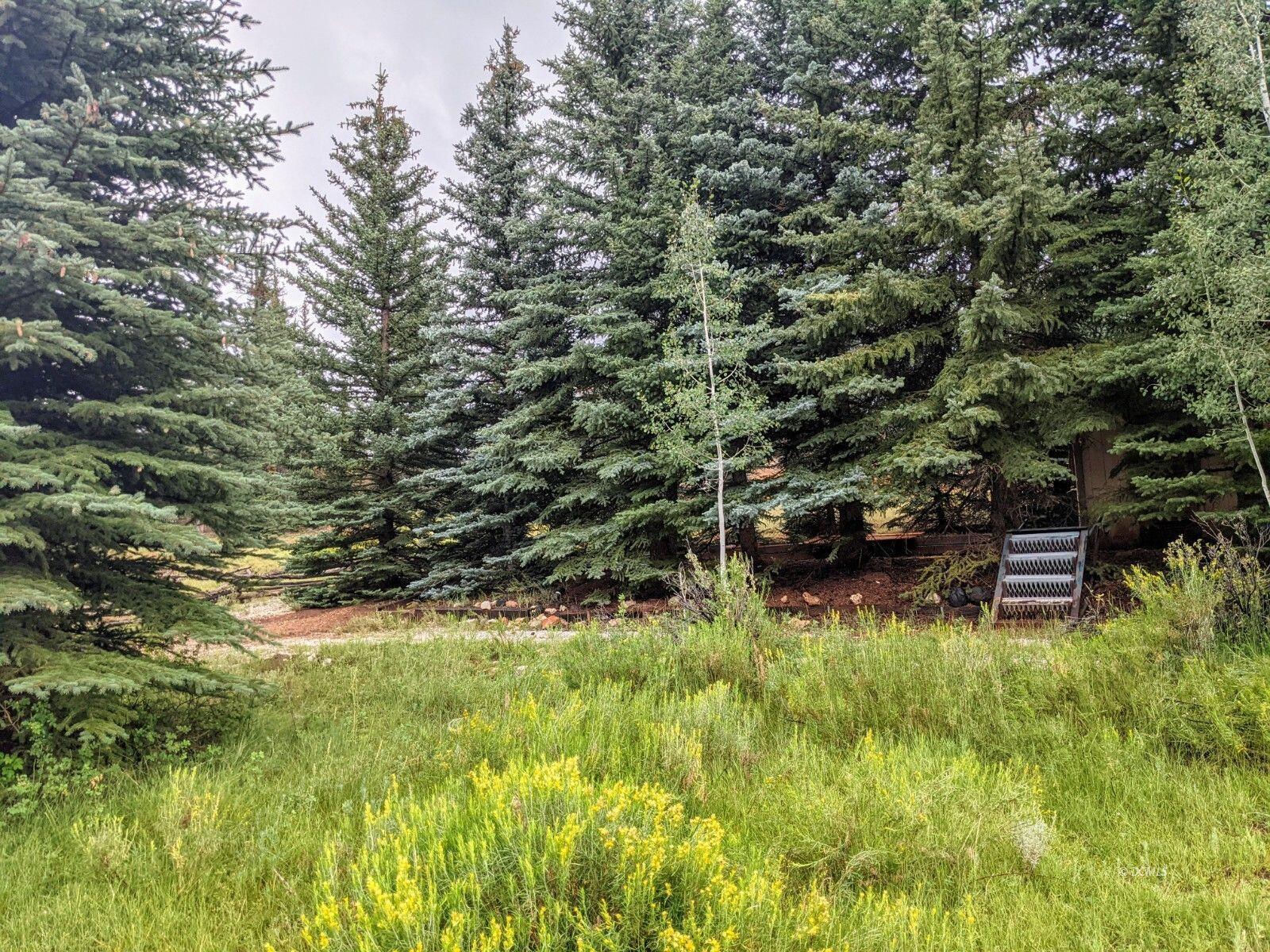 175 N Apollo Trail, Duck Creek Village, photo 6 of 9