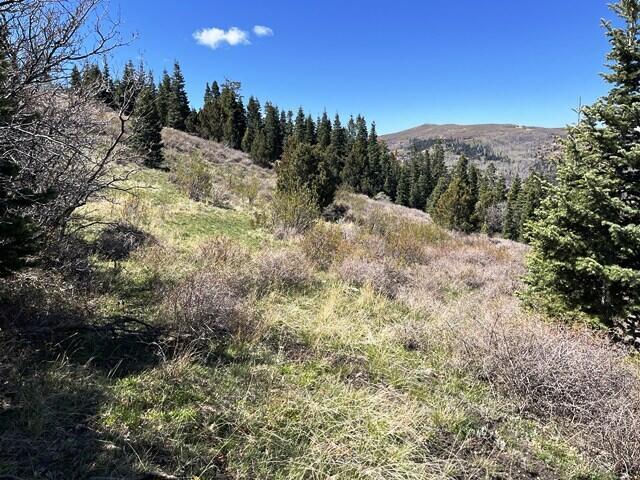 3934 S Summit Mountain Road RD, Lot 3, Summit, photo 1