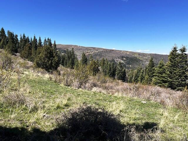 3934 S Summit Mountain Road RD, Lot 3, Summit, photo 2