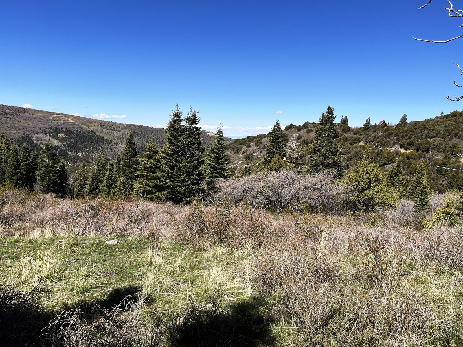 3934 S Summit Mountain Road RD, Lot 3, Summit, photo 6 of 22
