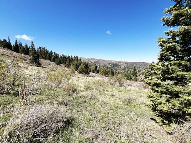 3934 S Summit Mountain Road RD, Lot 3, Summit, photo 3 of 22