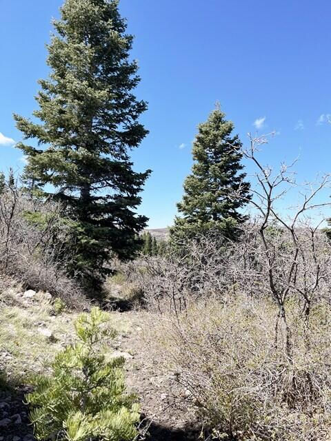3934 S Summit Mountain Road RD, Lot 3, Summit, photo 7 of 22