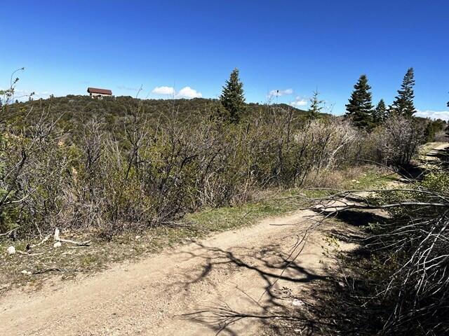 3934 S Summit Mountain Road RD, Lot 3, Summit, photo 8 of 22