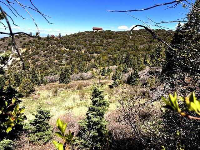 3934 S Summit Mountain Road RD, Lot 3, Summit, photo 5 of 22