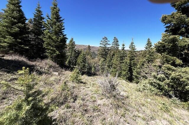 3934 S Summit Mountain Road RD, Lot 3, Summit, photo 10 of 22