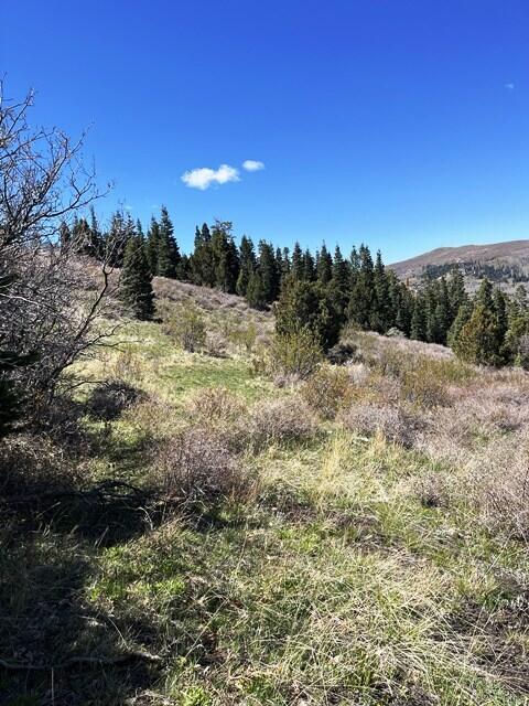 3934 S Summit Mountain Road RD, Lot 3, Summit, photo 9 of 22